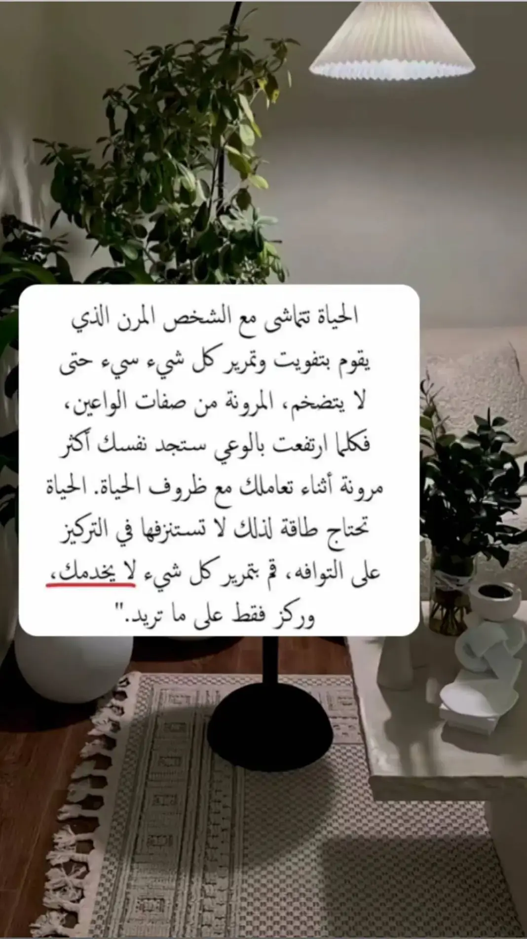 #اكسبلورexplore