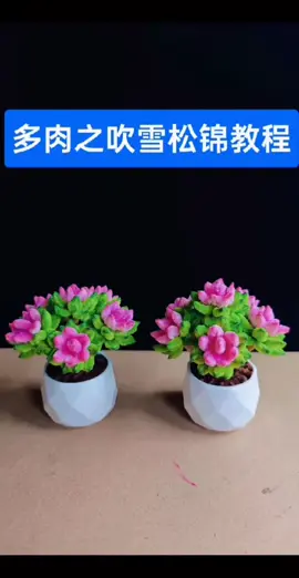 Tiếp tục series sen đá từ kẽm nhung  Đặt kẽm nhung tại sàn cam: kemnhung_huemongmo #kemnhung_huemongmo #kemnhungsh #hoakenhung #kemnhung #velvetzinc #senda #kemnhungloai1 