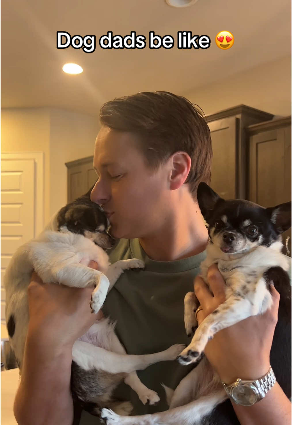 TJ and his girls 🥰 #fyp #chihuahua #dogmom #puppytiktok #chihuahuastiktok #chihuahuastiktok #dogsreaction #dogsoftiktok #blinddog #blindchihuahua #mansbestfriend #dogdad 