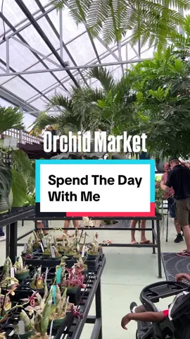 Flower market + Brunch #spendthedaywithme #vlogwithme #orchid #brunchwiththegirls #neworleans #altamontesprings #florida 