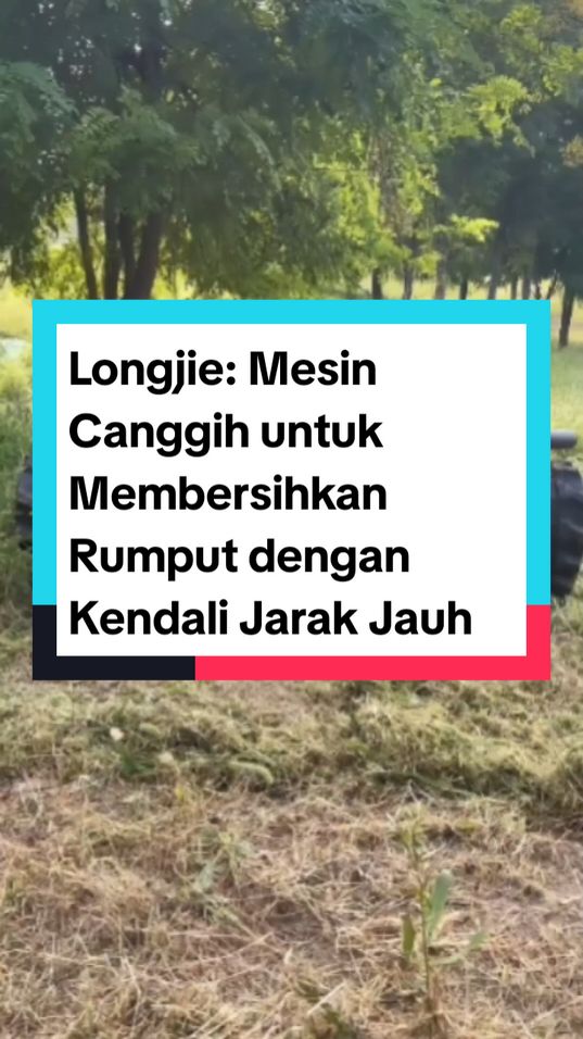 Longjie: Mesin Canggih untuk Membersihkan Rumput dengan Kendali Jarak Jauh. #Longjie #InovasiTeknologi #Teknologi #fyp 