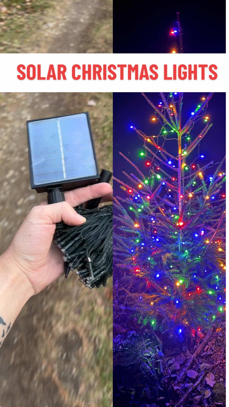 These solar powered christmas string lights are awesome, no more plugging in outdoor christmas lights! #christmaslights #christmasdecor #christmastree #homedecor #tiktokshopcybermonday #tiktokshopblackfriday #tiktokshopfinds #ttslevelup #itsmannymichael 