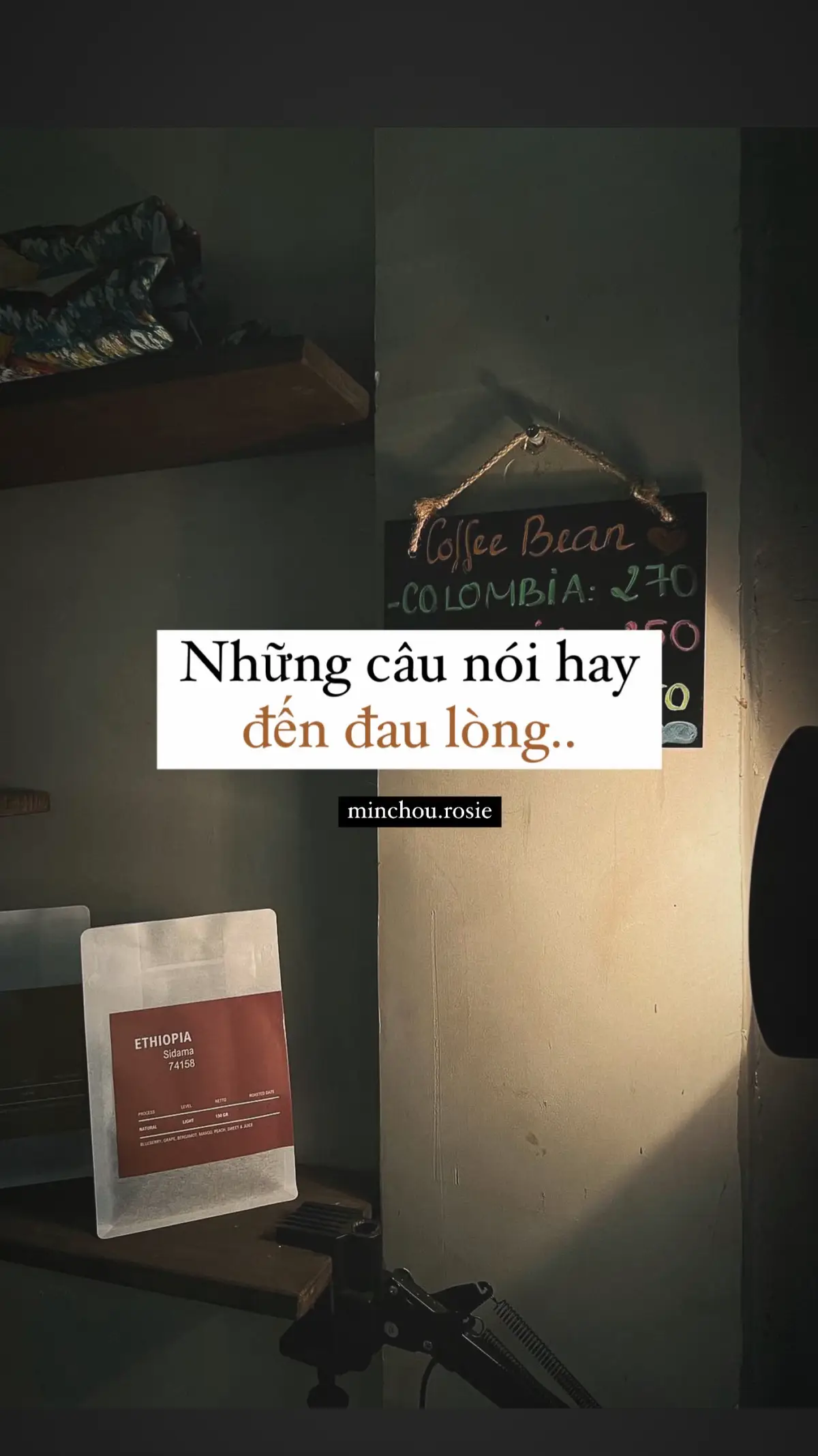 Người không nên gặp cũng đã gặp, người chẳng nên thương cũng đã thương… #caption  #nhungcaunoihay  #fyp  #xh  #buon_tam_trang  #minchou_rosie 