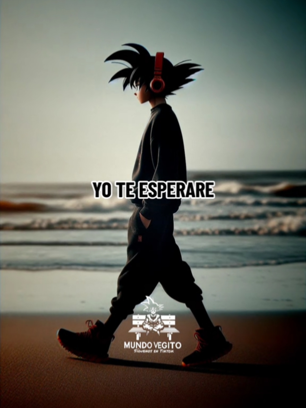 🌹🐉Yo te esperaré 🐉🌹 #parati #mundovegito #yo_te_esperare 