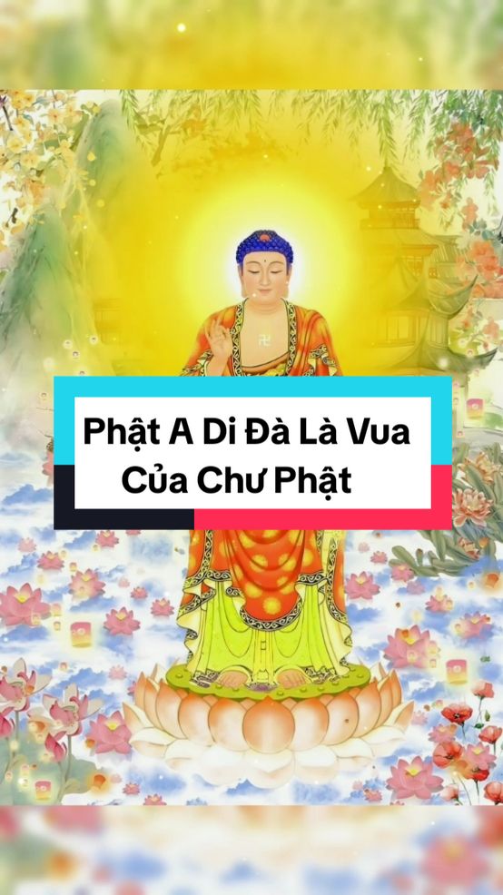 Pháp Môn Tịnh Độ phần 96. Phật A Di Đà là Vua của Chư Phật#phatphapnhiemmau 