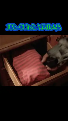 ICE CUBE - FRIDAY 