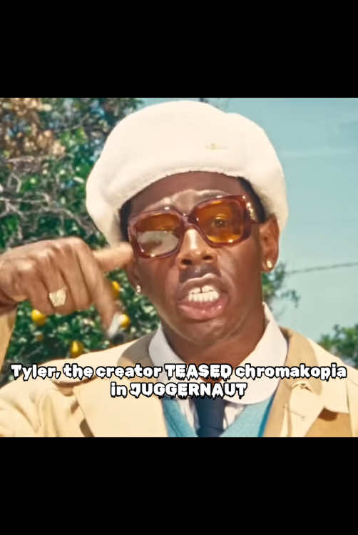 HOLD UP ‼️ #tylerthecreator #tyler #chromakopia ##picklerick##fyp#strollie   