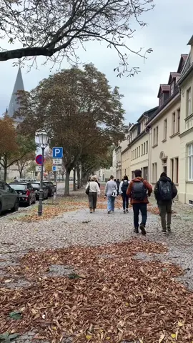 It’s been a month since I embarked on my journey as a landscape architecture student in Germany. The crunch of leaves underfoot has become a comforting soundtrack, each step revealing breathtaking spaces that elicit the “oohs” and “aahs” from me😯 From serene neighborhood to bustling city. Yet, the challenge of navigating the German language—mein Deutsch ist nicht perfekt—adds complexity to my experience!😆  #germany🇩🇪 #architecture #worldpeace #studyabroad 