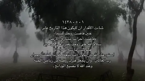#اكسبلورexplore #ابوي 