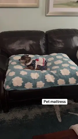 Waterproof mattress #giftfromtiktokshop #pets #petbed #perapproved #musthave #falldealsforyou #falldealsforyoudays #tiktokblackfriday 