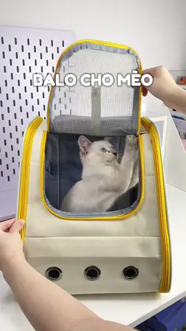 nuôi mấy khứa này tốn xèng nhưng được cái hay nổi khùng 🤡 #unbox #review #balochomeo #balomeo #balochothucung #fyp #xuhuongtiktok
