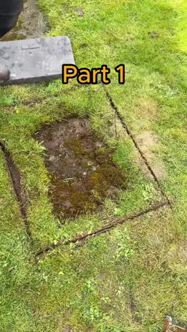 MY PARENTS STARTED LIVING IN MY HOUSE AND WHEN MY OLDER SISTER ALSO MOVED IN, SHE ASKED FOR THE MASTER BEDROOM AND HALF OF THE HOUSES PERSONAL SPACE. I KICKED THEM ALL OUT... PLUS UPDATE.
 #reddit #redditstories #redditstorytime #redditreadings #reddit_tiktok #askreddit #scalingstories #Relationship #storytime #storytelling #storywa #usa_tiktok 