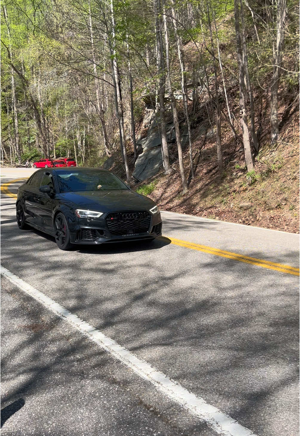 Audi RS3 on the Tail of the Dragon #tailofthedragon #audi #audirs #audirs3 #rs3 