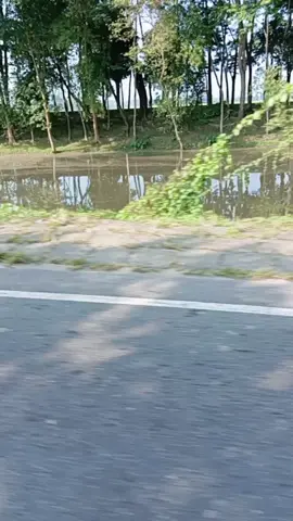 আজও আছি তোমার অপেক্ষায়🥀#tiktokbangladesh🇧🇩 #foryou #টিকটক_বাংলাদেশ_অফিসিয়াল🇧🇩🇧🇩🇧🇩 @Faruk isIam @Musa Sheikh 