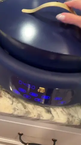 Beautiful 10 in 1 Electric Multi-Cooker,