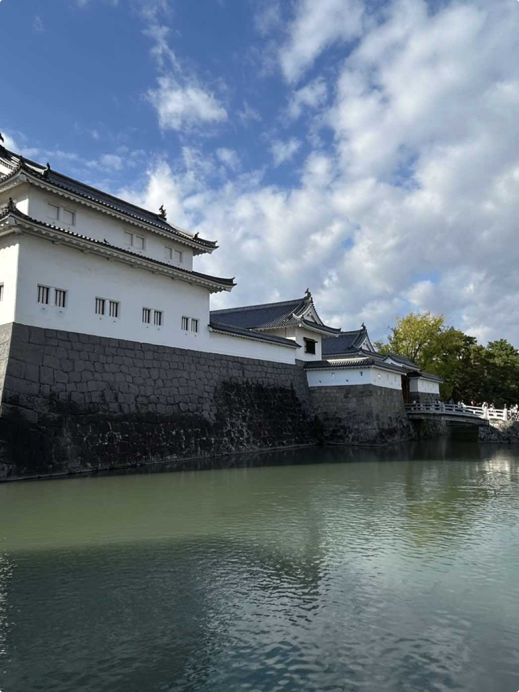 　駿府城跡🏯　今から650年ほど前の室町時代に今川範国（のりくに）が駿河国の守護に任ぜられました。そのころから、駿府城周辺に今川氏の館があったと考えられています。 駿府周辺の五カ国の大名となった徳川家康は、天正13年（1585）から居城として駿府城の築城をはじめ、天正17年（1589）に現在の二ノ丸以内の部分を完成させました。慶長8年（1603）征夷大将軍となった家康は江戸幕府を開き、慶長10年（1605）将軍職を秀忠に譲り、翌11年（1606）より再び駿府城の修築に着手し、駿府の町割りや安倍川の治水事業に取り掛かりました。 慶長12年（1607）に本丸が完成しますが、同年12月失火焼失してしまいます。直ちに再建に取り掛かり、慶長13年（1608）本丸御殿完成、慶長15年（1610）天守を完成させました。家康は、江戸幕府を磐石なものとするために、「武家諸法度」「禁中並公家諸法度」「元和一国一城令」などを制定するとともに、駿府城において、アジア諸国をはじめオランダ、スペイン、イギリスなどとも交易を行うなど外交も行っていました。元和2年（1616）家康が薨去こうきょしたのち、寛永元年（1624）、秀忠の息子の忠長（家光の弟）が城主となりましたが、寛永8年（1631）5月に、忠長が甲府（高崎）に蟄居ちっきょを命ぜられ、駿府城の城主は不在となり、幕末まで城代が置かれました。 明治維新後、明治6年（1873）陸軍省より「保存が必要な城郭」に指定されましたが、荒廃したまま放置されていました。明治22年（1889）、静岡市は、静岡県知事及び陸軍省に対して、駿府城の払下げ願いを提出し、明治24年（1891）、駿府城跡は静岡市に払い下げられましたが、その後、明治29年（1896）に、歩兵第34連隊を誘致しました。 戦後、駿府城は再び静岡市が所有することとなり、本丸、二ノ丸部分は、駿府公園として整備され、静岡市民の憩いの場として親しまれてきました。 平成元年（1989）には、市制100周年記念事業として、巽櫓が復元され、平成8年（1996）には、東御門が復元されました。近年では、平成24年（2012）4月に、その名称が駿府城公園に改められ、平成26年（2014）4月には、坤櫓が復元されました。