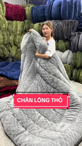 Chăn lông thỏ Co Co có hơn 200 ngàn đắp siêu ấm đại hàn, rẻ mà xịn quá #chanlongtho #chanlong #thuson 