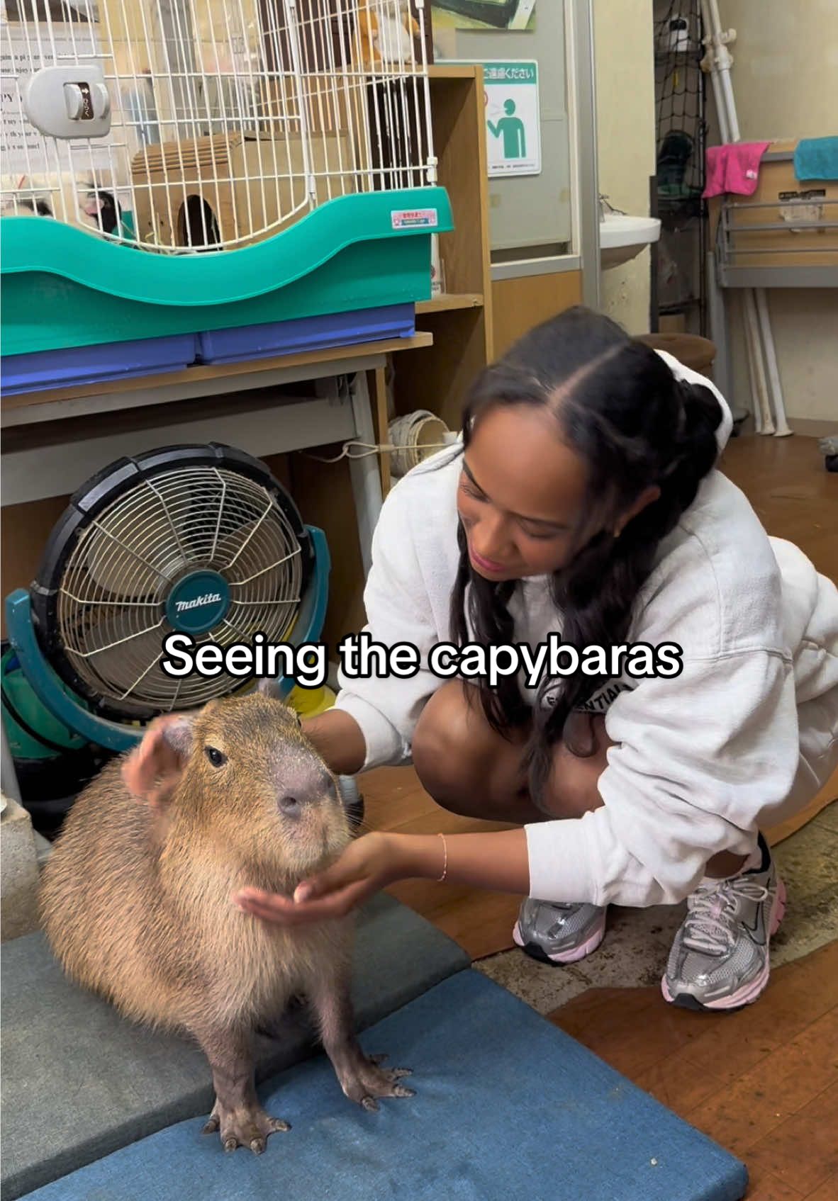 Seeing the capybaras🥹❤️ #tokyo #capybara