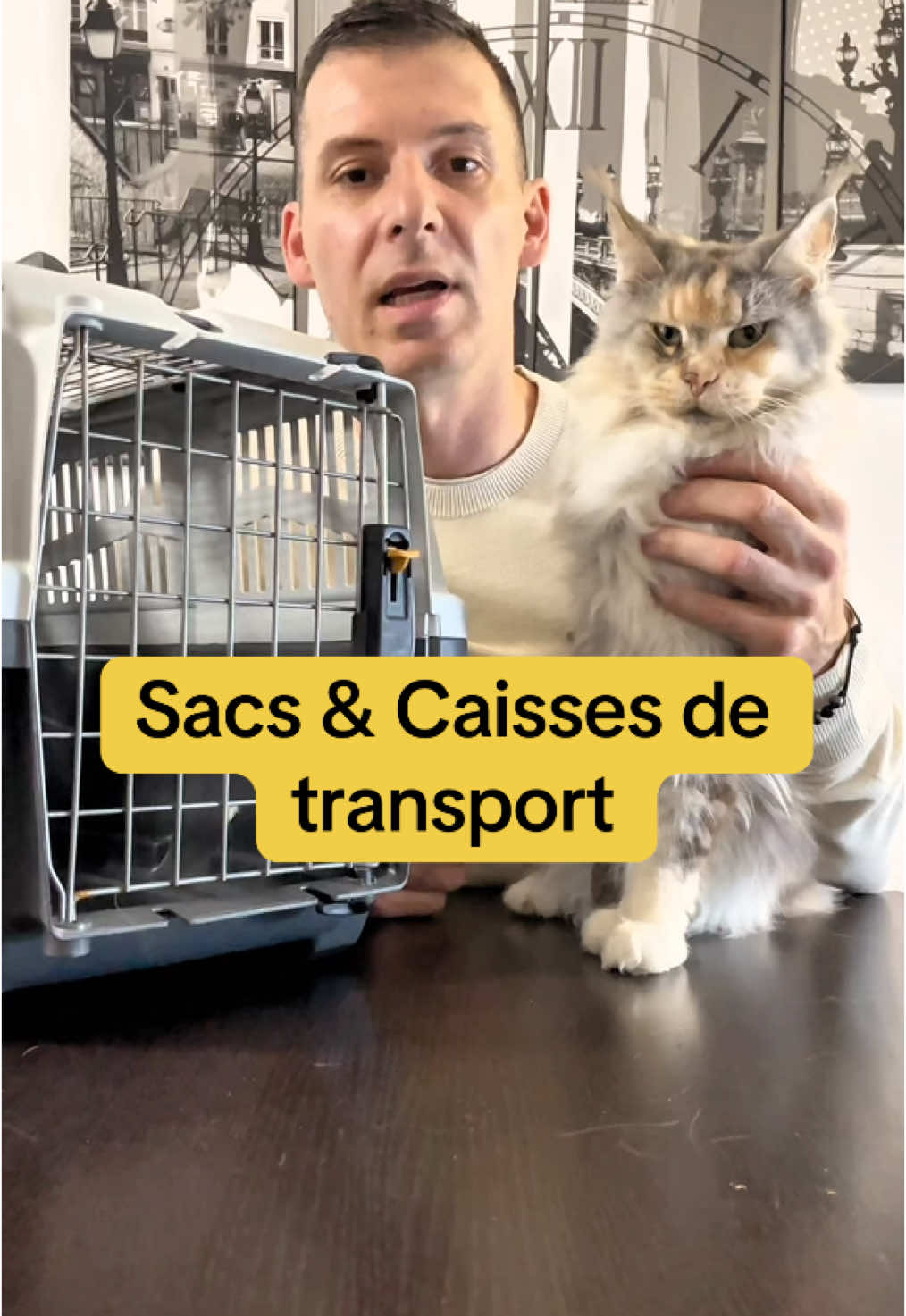 Nos sacs & caisses de transport  #chat #conseil #catsoftiktok #pourtoi 