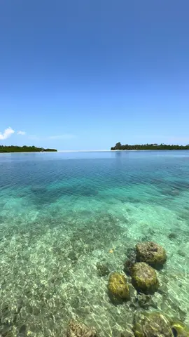 Indahnya Indonesia ga abis2 💙💙🌊 #nature #maluku #malukutengah #visitmaluku #visitindonesia #workhardplayhardprayharder #sawaimalukuindonesia #kerambalovesawai 
