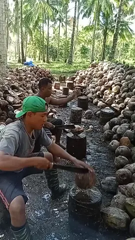 mantap bosku #kelapa #viral #pejuangrupiah_semangat #petani#fypシ゚viral #pejuangrupiah 
