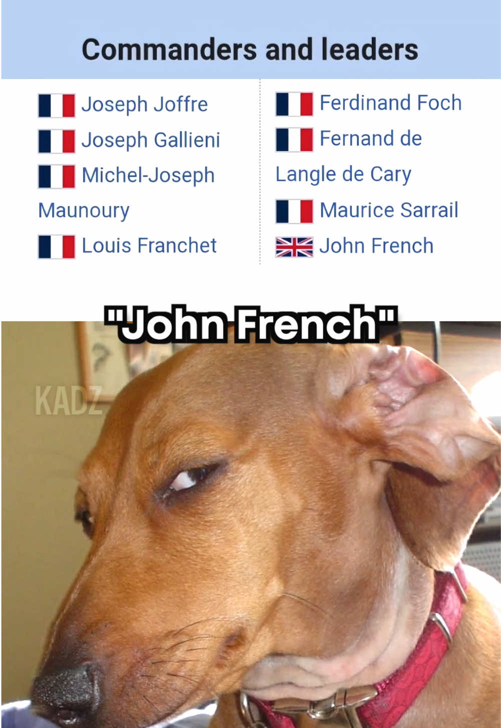 One of these is not like the others… #meme #memes #french #sus