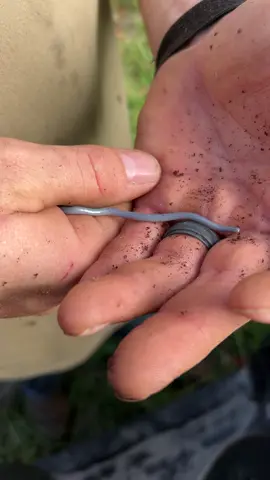 Mystery solved weird blue thingy is not a worm, but in fact a snake! A “Brahminy Blind Snake” pretty neat little fella #snake #snaketok #snakesoftiktok #snakekeeper #brahminyblindsnake #worm #worms #backyardvibes #getoutdoors #kidsoutdoors #outdoorkids #gooutside