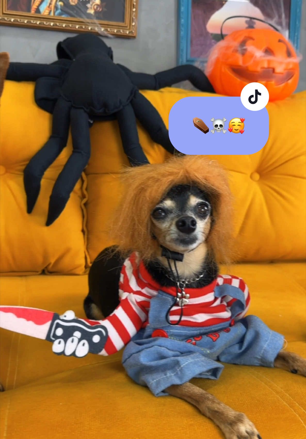 Happy Halloween! ⚰️☠️🐶#halloween #pets #doglover #dogsoftiktok 