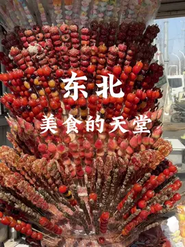 冬天了，该和好朋友一起去东北啦 #东北美食 
