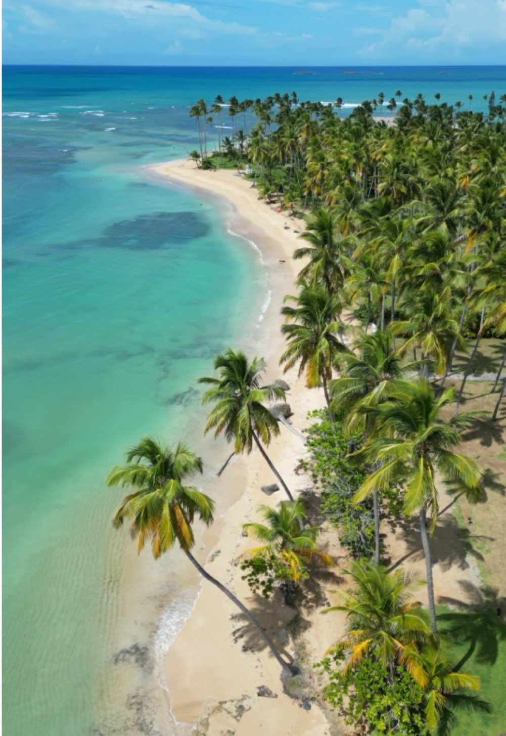 Paradise in earth 🇩🇴🌴  - #paradiseonearth #beach #beachvibes #beachwaves #beachwalk #palmtrees #travel #traveltiktok #travelgoals #travelgram #travelgirl #domrep #dominicanrepublic #dominikanischerepublik #karibik #caribbean #caribbeantiktok #karibikurlaub #lasgaleras #samana #dominicana #paradiseonearth #lasterrenas #bavaro #bayahibe #saona #islasaona #saonaisland #island  #playabonita #samana #ocean #oceanview #travelgirl #oceanvibes #oceangirl #paradise #paradiseisland