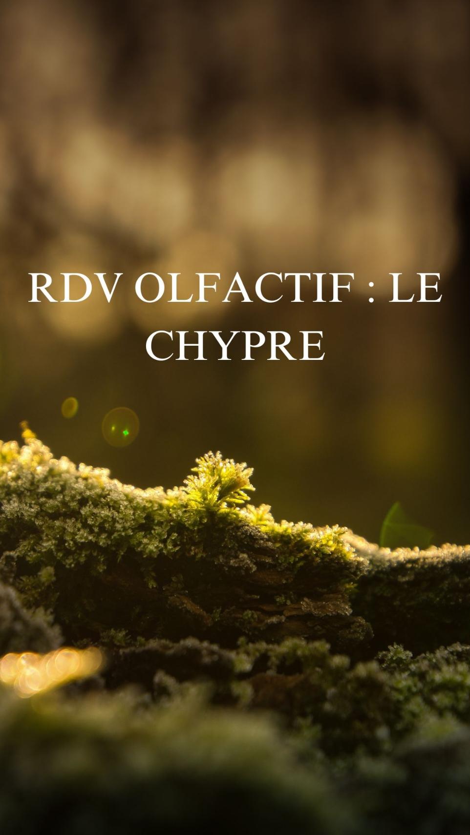 Le rdv olfactif cette semaine: le Chypre!  Connais-tu l'accord Chypre en parfumerie ?  Né en 1917 avec Coty, sur une base de Bergamote, Rose, Jasmin, Mousse de Chêne, Patchouli et Labdanum, il est devenu un type de parfum à part entière.   Le Chypre est complexe, sombre et mystérieux à la fois 💫 Les nouveaux chypres (néo-chypres) ont troqué certaines matières premières naturelles contre des molécules, et en y ajoutant quelques fruits. Les rendant plus modernes !  Coco Mademoiselle de Chanel est un néo-chypre très connu 😉 Abonne-toi pour d'autres rdv olfactif ✨ #parfumeurfauve #creation #chypre #parfum #histoire #odeur #decouverte #parfumerie #accord #coty 