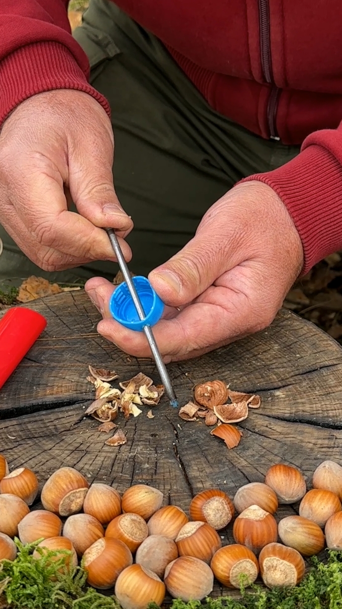 Genius LifeHack for Quick Nut Cleaning with Whole Kernels. #lifehacks #ideas #Outdoors #camping #skills #bushcraft #survival #forest 