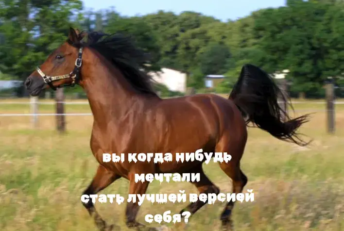 #horse #gym #rek #fyp 