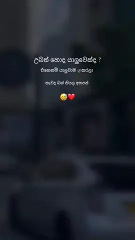 #කෑවද_බන්😹💔  #mood_status🤍🖇️ #hilight #virl #flypシ #whtsappstatus #srilankan_tik_tok🇱🇰 