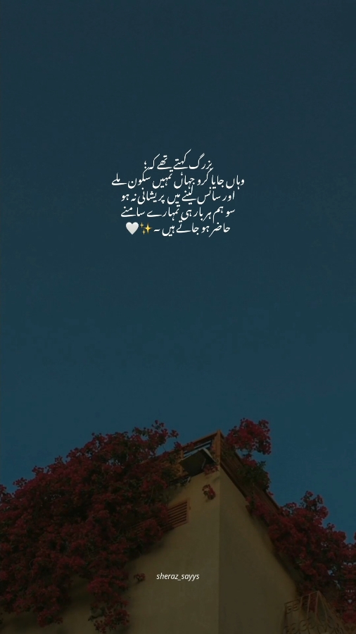 سو ہم ہر بار تیرے سامنے حاضر ہوتے 🤍🥹#sheraz_sayys 