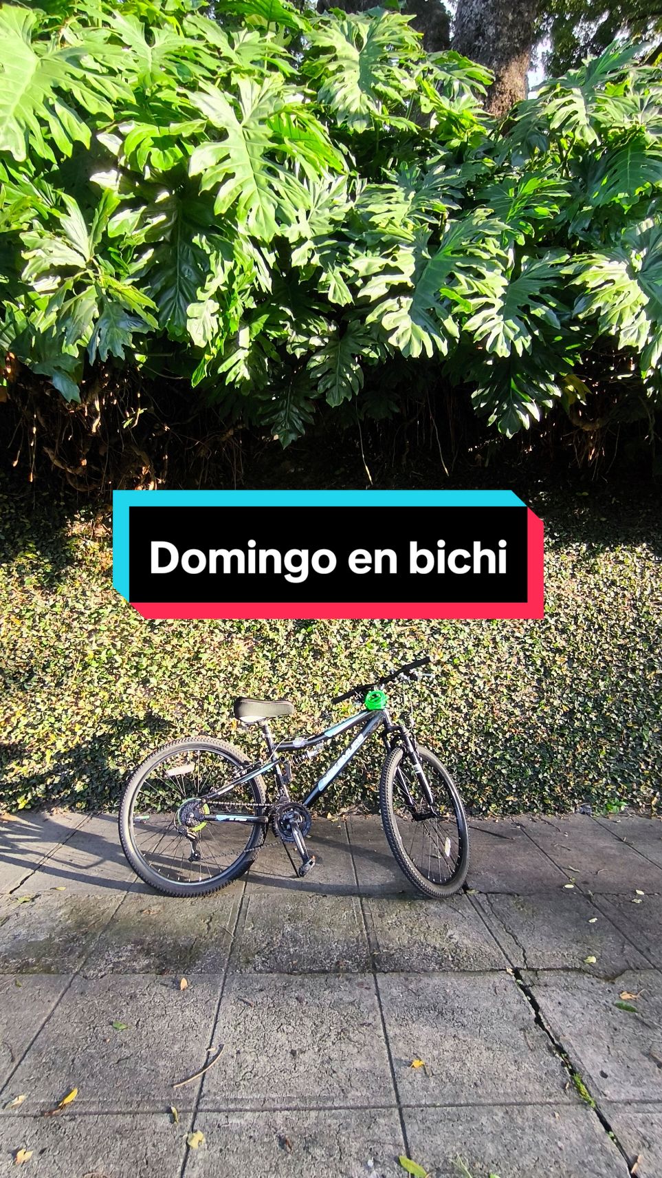 Pedaleando ando 🚴🏻‍♀️❤️‍🩹 . . . #domingo #bici #fyp 