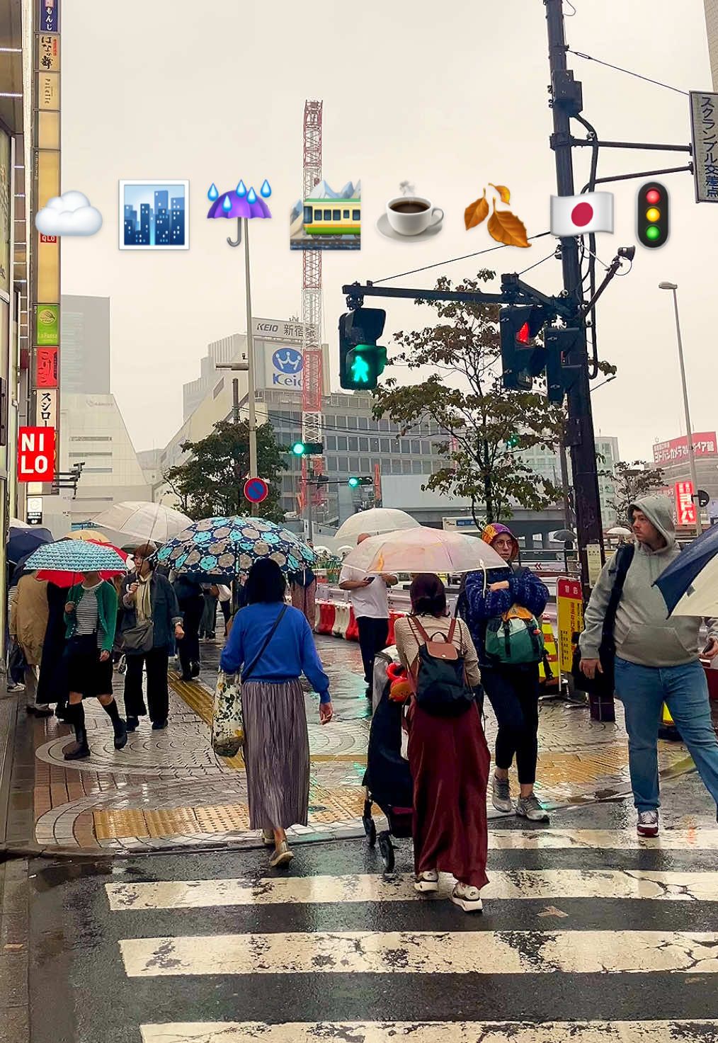 This is what Japan looks/sounds like on foggy, rainy days. You can hear the pedestrian beeps and people’s footsteps in busy rainy Tokyo and the soothing whispers of the raindrops in Kanazawa. I think that life sounds have to be one of my favourite things to notice and appreciate when I travel.☔️🍂🥹 #japan #fypツ 