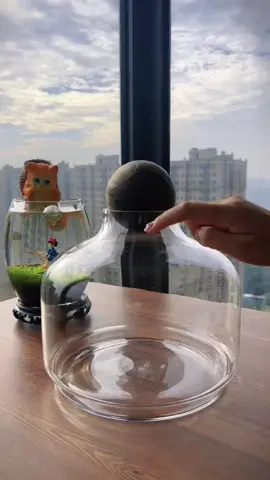 Amazing!Do you want one?#foryou #foryoupage #DIY #fishtanks #fishtoks #aquariums 