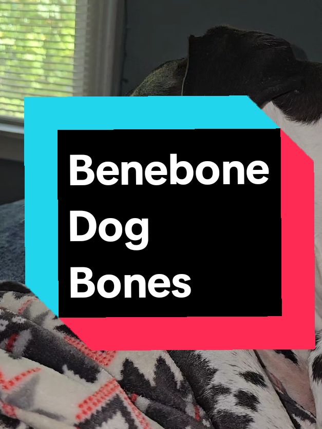 Benebone is a well known established brand with over 100k+ orders in the past three months! They have real bits of bacon and fish in them! #benebone  #dogchew  #stockingstuffer 