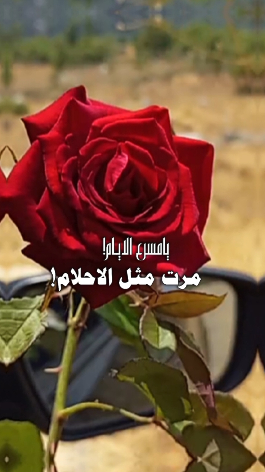 #يا_مسرع_الايام_مرت_مثل_الاحلام #عبدالله_ال_فروان #انا_الغلطان #اكسبلور #حركة_إكسبلور #viral_video #lavendr81 #fyp #تصميم_فيديوهات🎶🎤🎬 #CapCut 