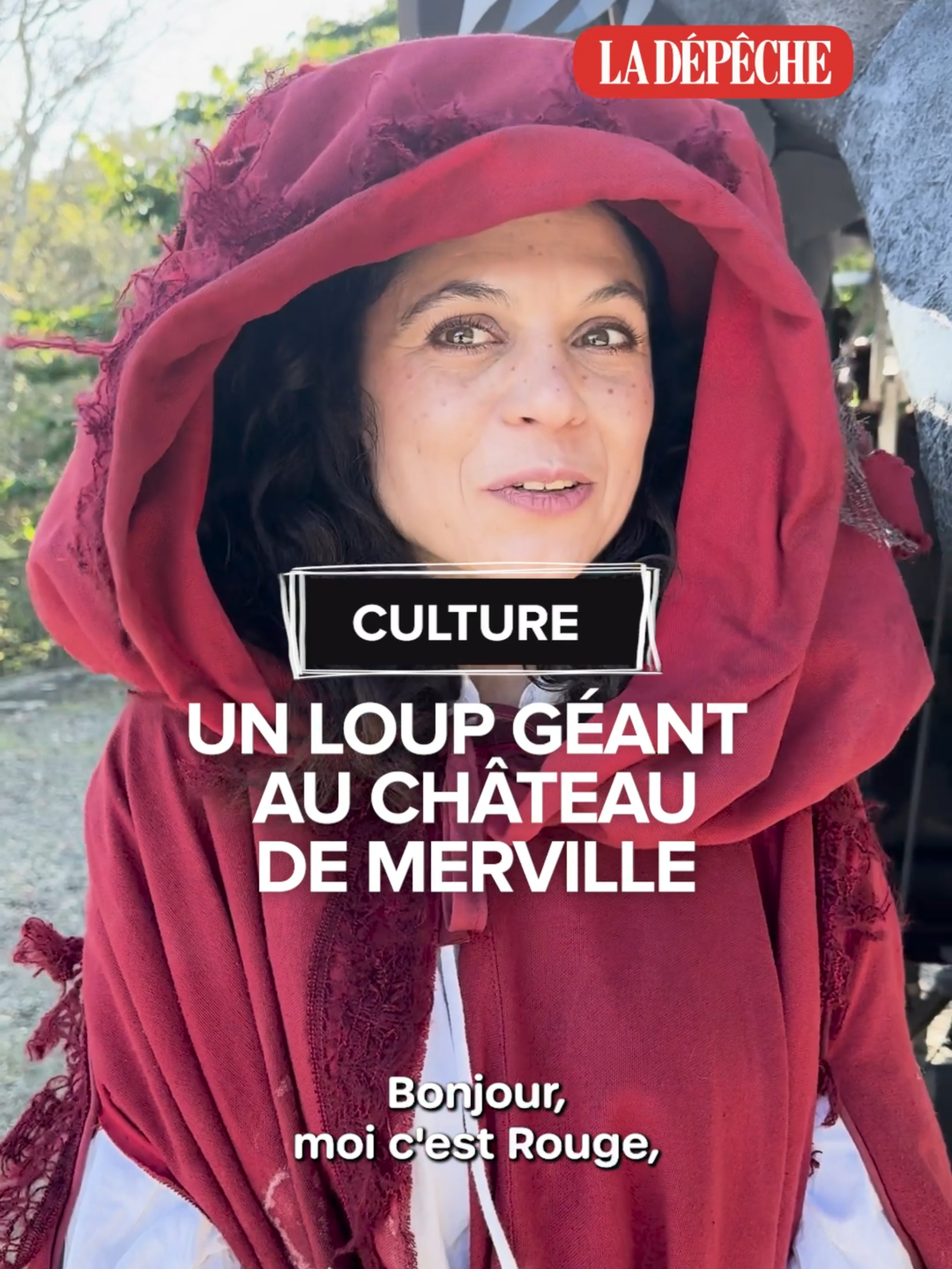 🐺 Une marionnette de loup géante au château de Merville. 🐺 Derrière ce grand méchant loup de 3,5m de haut et de 6m de long se cache la compagnie Bric à Brac. Originaires du Lot-et-Garonne, Bastien et Marina ont revisité le comte du Petit Chaperon rouge. #culture #loup #théâtre