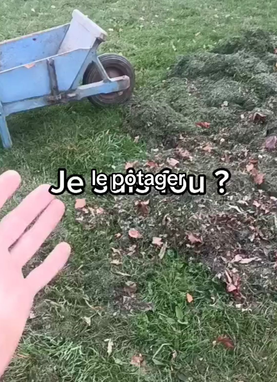 Qu'en pensez vous ? j'ai raison ?  #jardin #permaculture #astuce #pov #Vlog #potager 