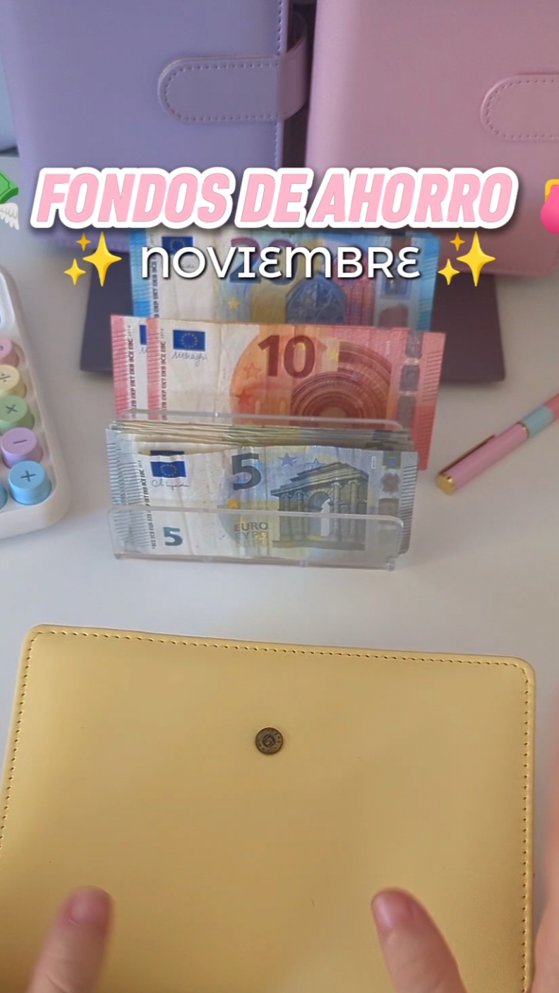 Relleno del cuaderno de fondos de ahorro para el mes de noviembre 💸 #tipsahorro #sistemasobresefectivo #cashstuffing #sistemadeahorro #ahorro #sistemadesobres #ahorroscheck #ahorrostiktok #ahorrosmensuales #organizacion #budgetplanner #parati 