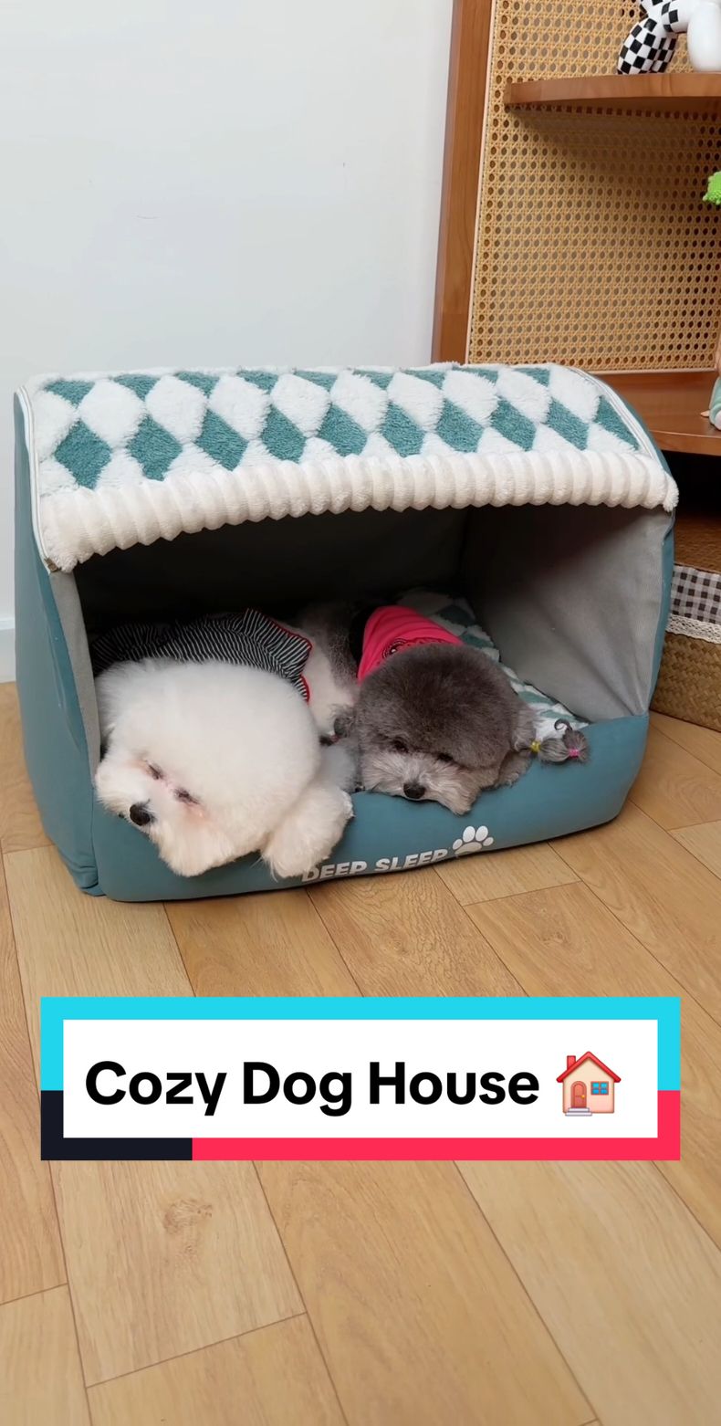 Cozy Dog House 🏠  #warmhouse #doghouse #dogproducts 