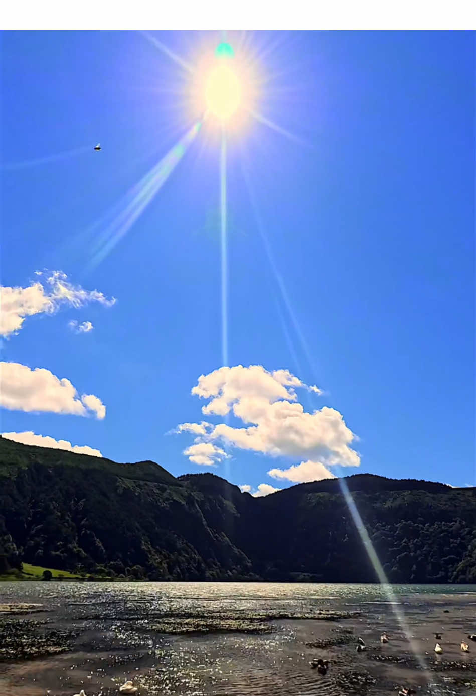 Sunny Lake #fyp #foru #foruyou #lake #sunny #beautiful #beautifulview #aesthetics #aestheticvideos #Summer #travel #traveltiktok #travelling #nature #relaxing #relaxation 