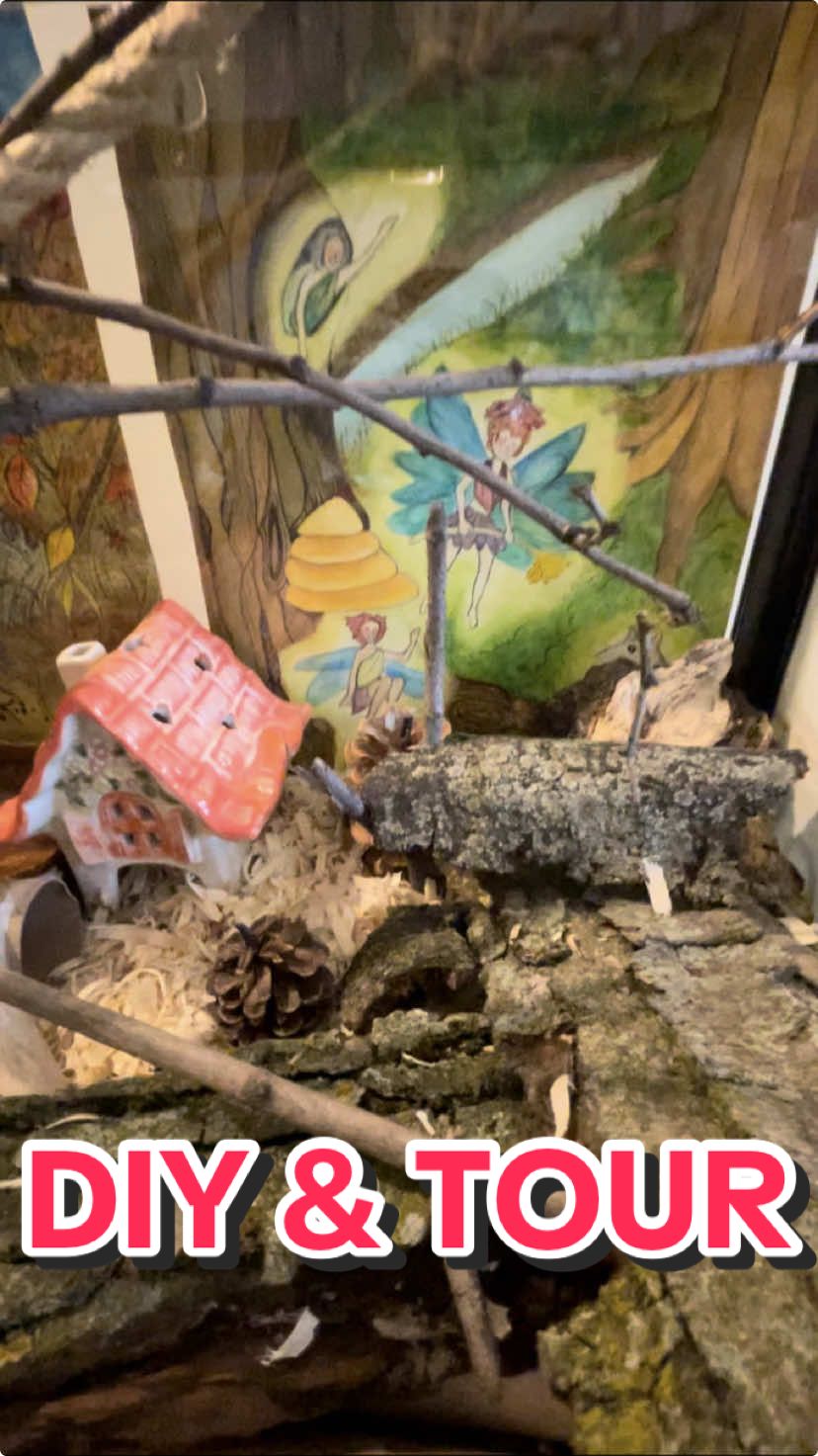 Do you think Mostaccioli likes his new setup? #mouse #enclosure #setup #DIY #tour #hometour #rodentsoftiktok #peanut #squirrelsoftiktok #mice #rats #hamsters #mostaccioli #mostacciolimouse #PetsOfTikTok #thrifted #knitting #painting #watercolor