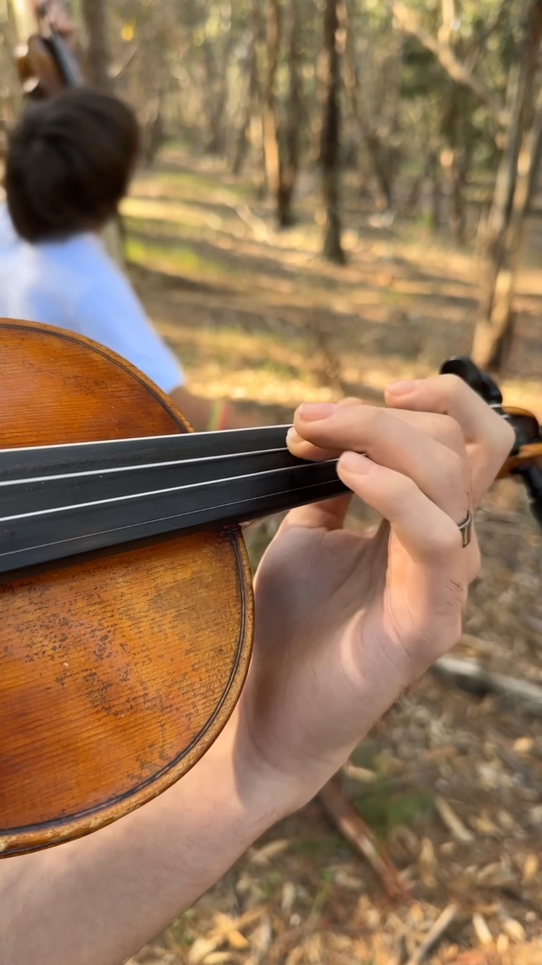 Perfect 🎻 Ed Sheeran 🎻 #violin #violinist #music #Love #perfect #edsheeran 