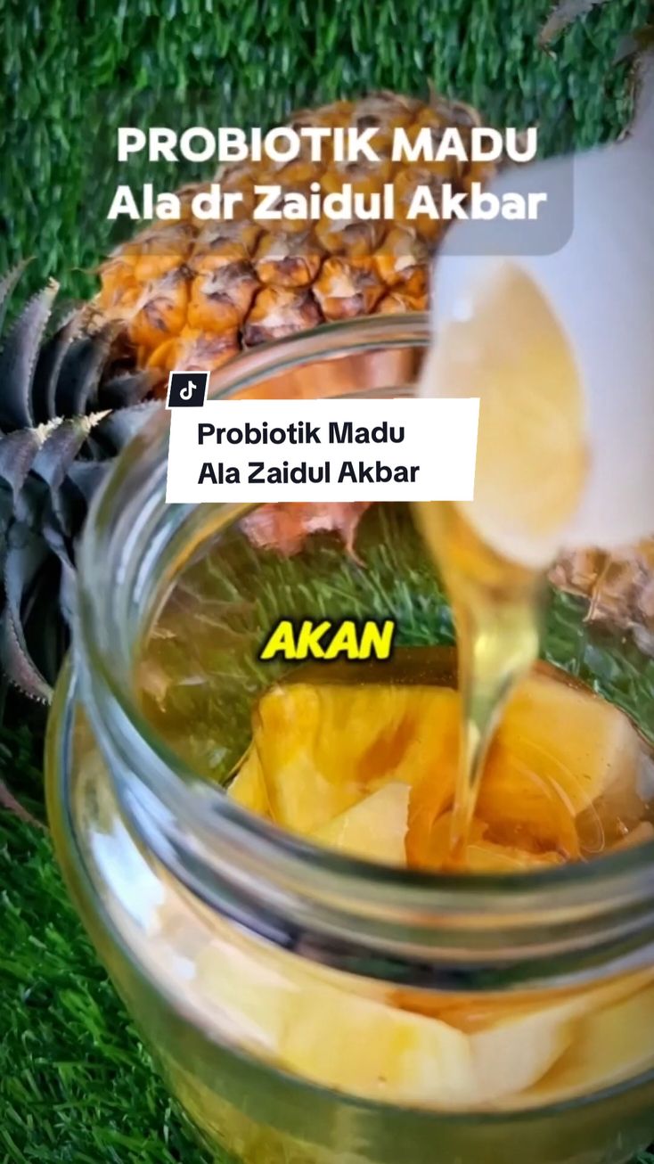 Membalas @nining9596  Catatan Membuat Probiotik Madu , olahan Buah Nanas dan madu asli,  resep ala dr zaidul akbar  #resepzaidulakbar #zaidulakbar #manfaatbuahnanas #buahnanas #probiotik #caramembuatprobiotikalami 