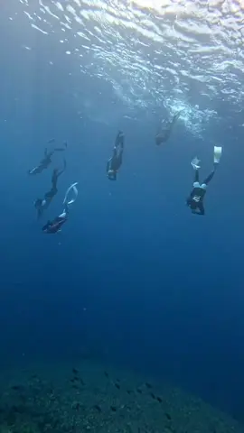 #freediving #malukuutara #ternate #freedive #freedive 