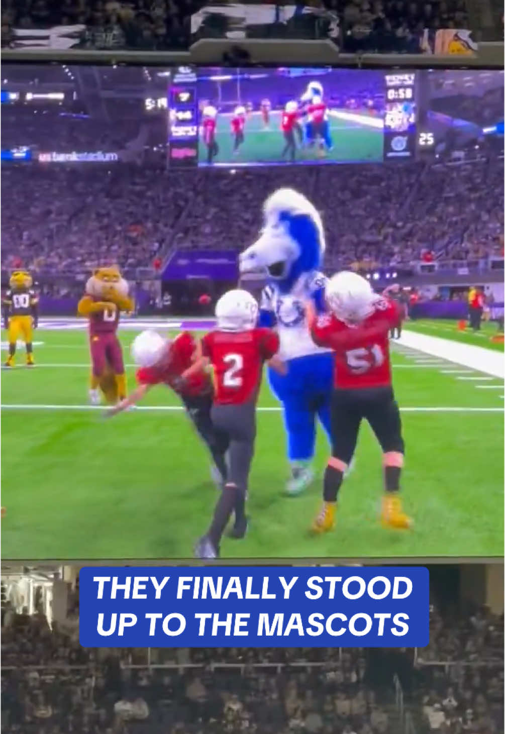 Mascots got what was comin’ to them #nfl #nfltiktok #nflfunny 